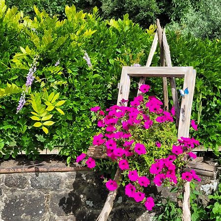 La Casa Nel Chianti Appartement Greve in Chianti Buitenkant foto