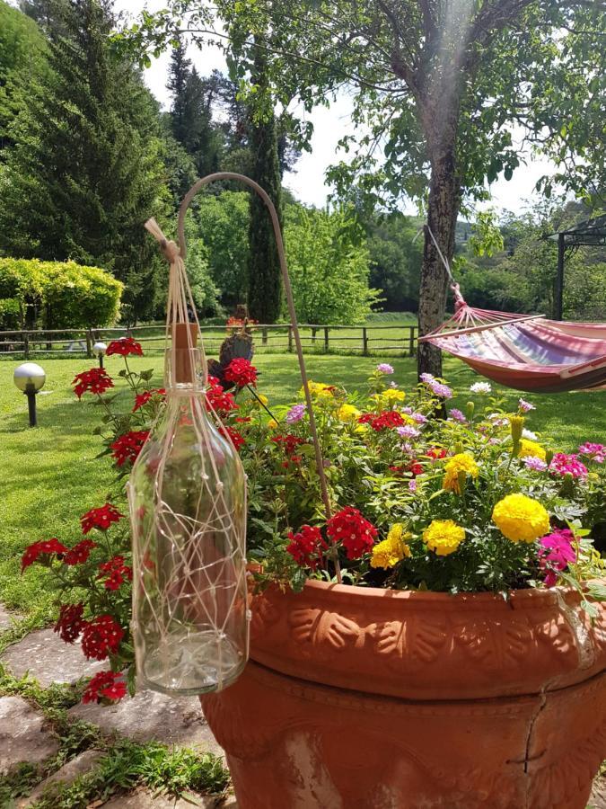 La Casa Nel Chianti Appartement Greve in Chianti Buitenkant foto