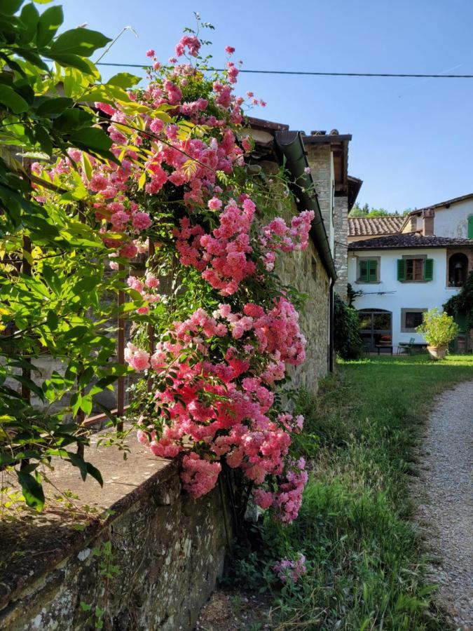 La Casa Nel Chianti Appartement Greve in Chianti Buitenkant foto