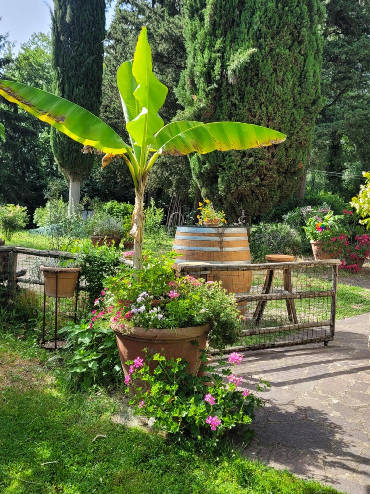 La Casa Nel Chianti Appartement Greve in Chianti Buitenkant foto
